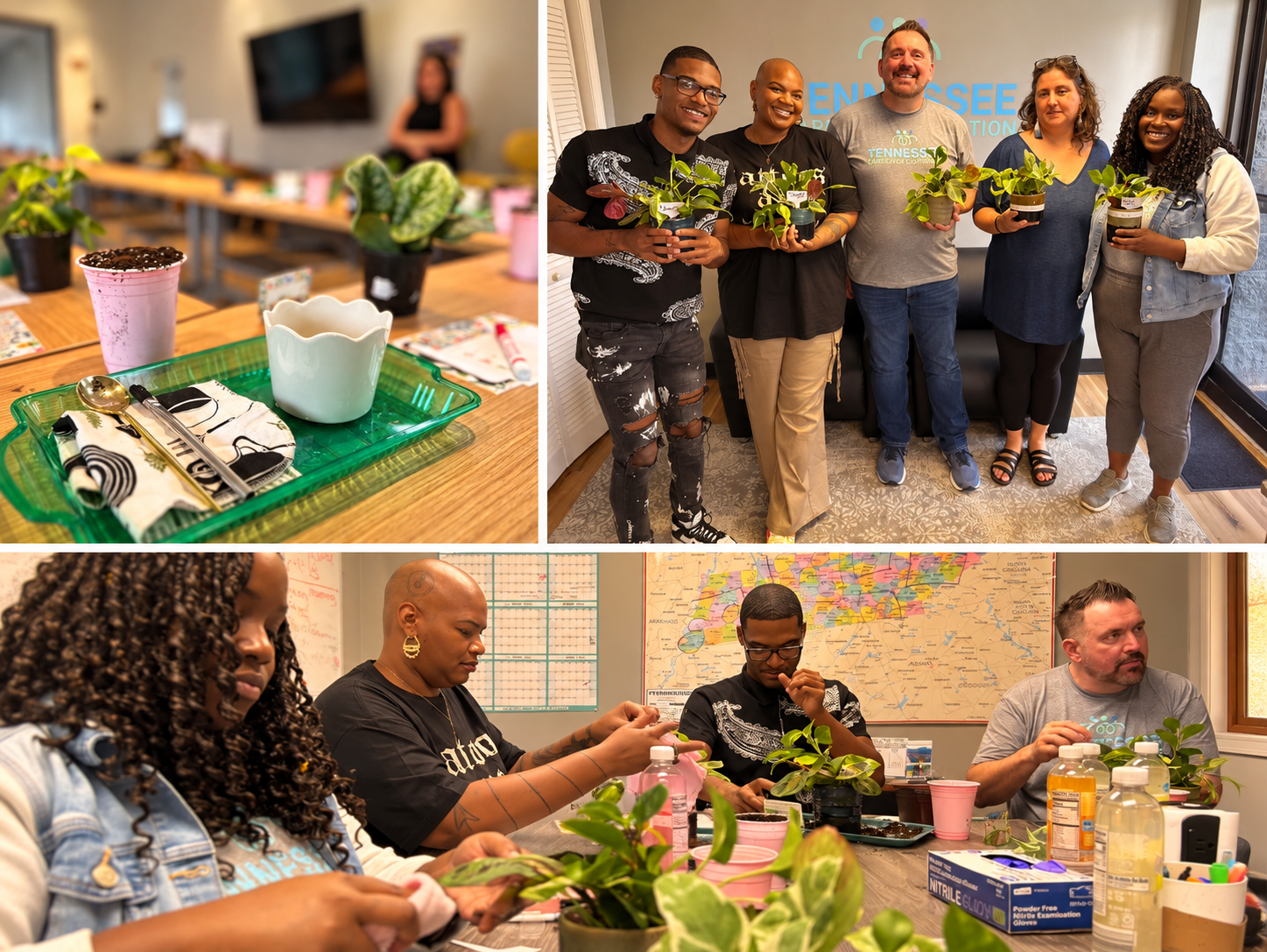 Team members holding plants and working together